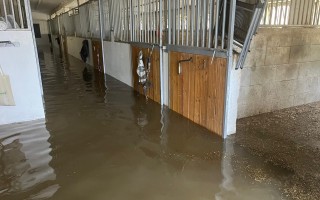 Pomoc jezdeckému klubu Baník Ostrava po povodních