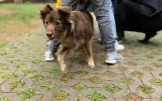 Rozinka pomáhá dětem, nyní potřebuje pomoc ona