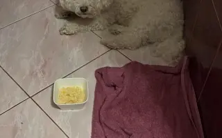 Pomozte nám zachránit naši Elinku