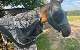 ❤️ Zachránit nestačí. Pomozte nám postarat se o ně dál...