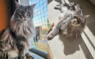 Áronkův boj s rakovinou