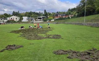 Oplocení fotbalového hřiště proti divokým prasatům