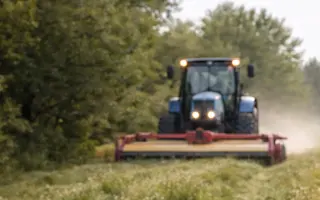 Zachraňme srnčata dřív, než bude pozdě