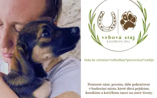 Pomocník pro Vrbovou stáj - místo naděje a zázraků pro týraná a opuštěná zvířata