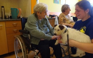 Canisterapie CANTES v krajích ČR jako sociální rehabilitace