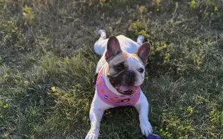 Pomozte nám zvládnout nečekanou operaci❤️‍🩹