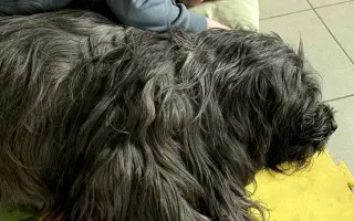 Šance pro Tondu na zotavení po vážných popáleninách