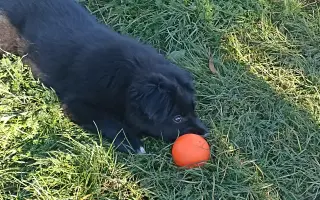 Pomoc pro Lilinku, která bojuje o život.