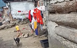 Záchrana pro psy ze slovenských osad 🩷