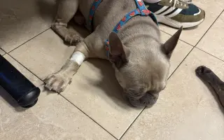 Archie bojuje. A my s ním ♥️