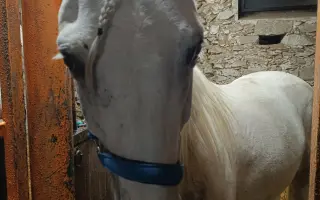 Pomozme Moonymu zachránit zrak