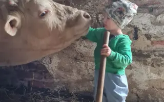 Prosíme o pomoc - sami to po požáru nezvládnou