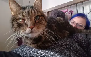 Lívanec a Dobrota potřebují léky