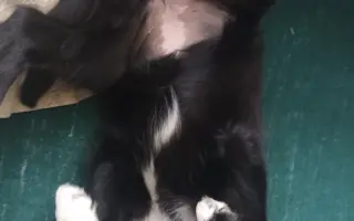 Pomoc pro Lilinku, která bojuje o život.