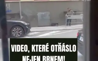 DEN ZVÍŘAT 2025