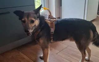 Druhá šance pro Dirka z osady na lepší život