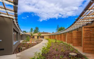 Pět smyslů pro Pomněnku