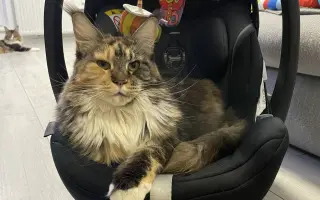 Pomoc pro Enie v boji s nádorem