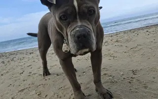 Pomozme Ele opět poznávat svět