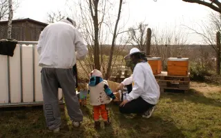Postavme společně Včelí sen