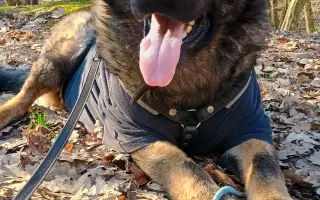 Léčba, která nekončí - Fůrie