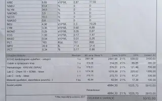 Devět životů pro Kočku