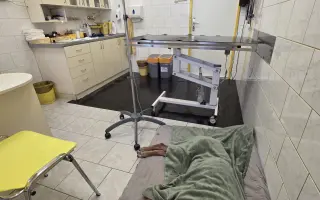 ❤️ Celý život tu byla pro mě. Teď prosím o pomoc pro ni.
