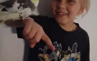 Pomoc Emilly do první třídy a Matteovi do školky