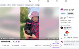 Pomáháme opuštěným a týraným psům najít cestu domů 🩷