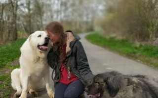 Psí babičky a dědoušci v hospici na dožití