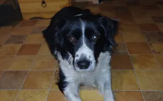 Pomohli jste Áje znovu spatřit svět