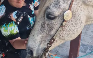 Život bez bariér - Auto s nájezdovou rampou pro Zdendu (13) na vozíku