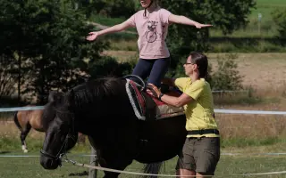 Nový kůň do hiporehabilitačního týmu