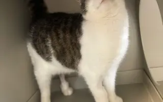 Pomohli jste Riovi zpátky na nohy