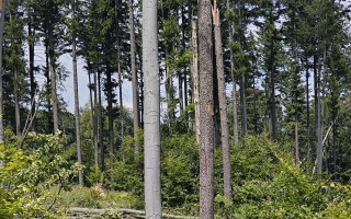 ZACHRAŇME SINGLETRAIL MORAVSKÝ KRAS JEDOVNICE