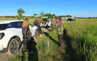 Mláďata na jaře, ostatní zvířata celoročně - ti všichni nás potřebují!