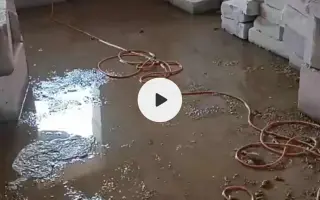 Druhá šance začíná tady: Rekonstrukce karantény pro kočky a skladu