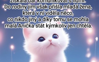 Podpořte vydání e-knihy Anička, čili život kotěte aneb jak se stát kýmkoliv