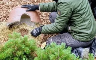 POMOC PRO FOXÍČKA, ASPENA A TAFFY-JACKA