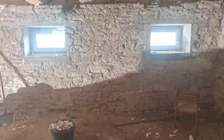 Postavme společně útulek pro kočky a psy