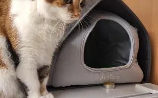 9 nalezených Lásek