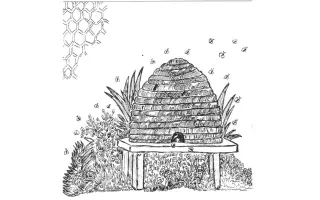 Postavme společně Včelí sen