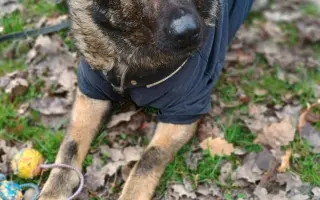 Léčba, která nekončí - Fůrie