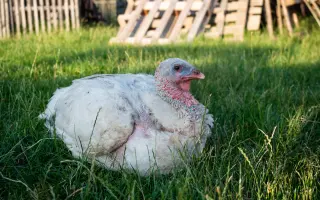 Natočte s námi nový Dokument