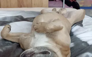 Operace pro Dexíka