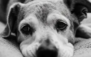 Pomozte vytvořit místo, kde vzpomínky léčí a dávají naději. 💔