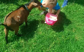 Pomozte❤️ Srdce pro zvířata - naděje pro opuštěné