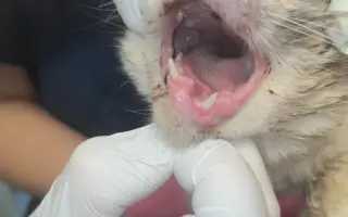 Rok 2025 je nejhorší za dobu fungování. POTŘEBUJEME POMOCI