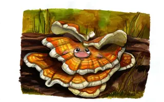 Podpořte KOLODĚJE - houbové hrdiny