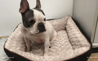 Zachráňte Marilyn bojující s rakovinou